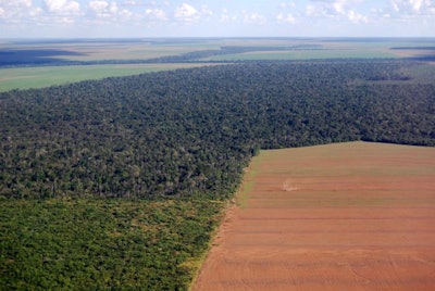 rainforest-soy-deforestation