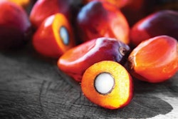 raw-palm-kernel-1607Ingredients1