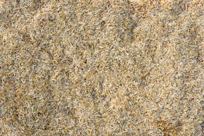 Closeup rice peel after harvest and hull background