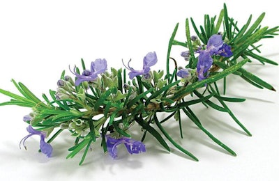 rosemary-antioxidant-animal-feeds-1608