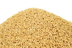 soy-lecithin-granules