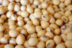 soy-soya-FreeImages_Luiz-Baltar