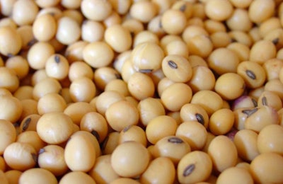Straight Talk About Soy, The Nutrition Source