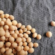 soybean-origins-1603