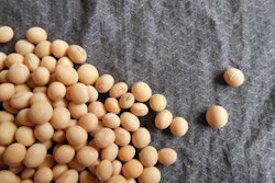 soybean-origins-1603