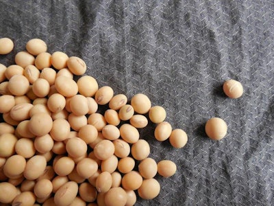 soybean-origins-1603