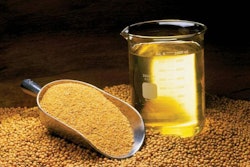 soybeans-meal-oil