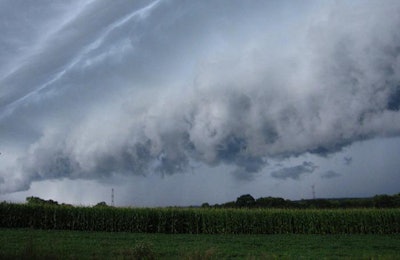 storm-clouds-over-corn-field