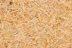 straw, dry straw straw straw background texture