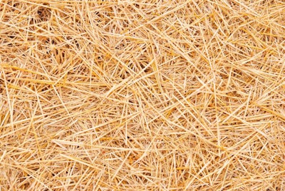straw, dry straw straw straw background texture