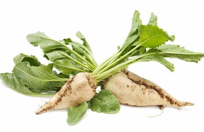 sugar-beets-animal-feed