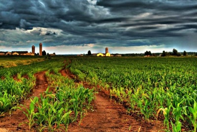 sunset-over-corn-field