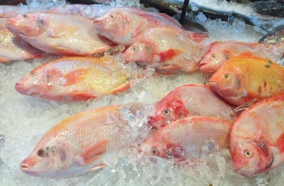 Fresh Nile tiapia in the Market. (Oreochromis niloticus-mossambicus)