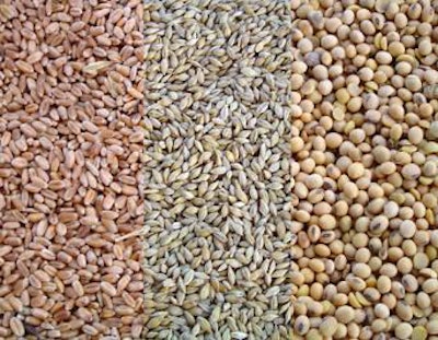 wheat-barley-soyabean-1505PIGfeedcosts