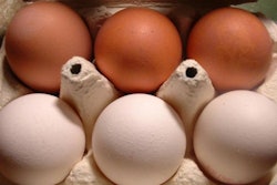 white-eggs-brown-eggs-1603
