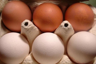 white-eggs-brown-eggs-1603
