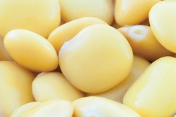 white-lupin-beans