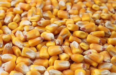 whole-corn