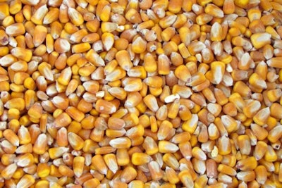 whole-shell-corn-1603