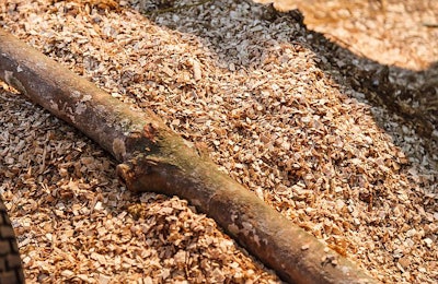 (Victorflowerfly | BigStock.com)