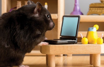 Online marketing provides plenty of opportunities for pet food packaging to expand its branding role. (Husar Kristian | iStockPhoto.com)