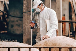 ASF-vaccine-in-development