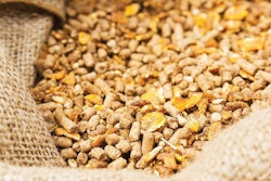 Animal Feed Enzymes 1602 Backtobasics