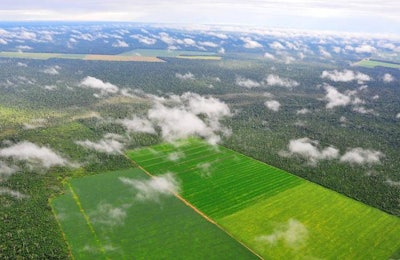 Brazil Soy Moratorium 1605soy2