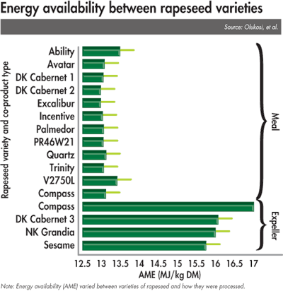 Energy Availability Between Rapeseed Varieties 1608 Rapeseed Fig2