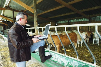 Feedlot-nutritionist-using-formulation-software