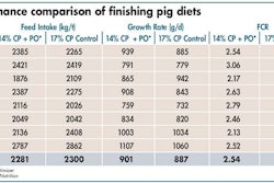 Finisher Pig Performance Comparison