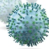 PRRS-virus