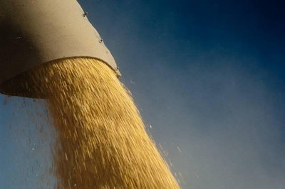 Soy Harvest 1605 Soy3