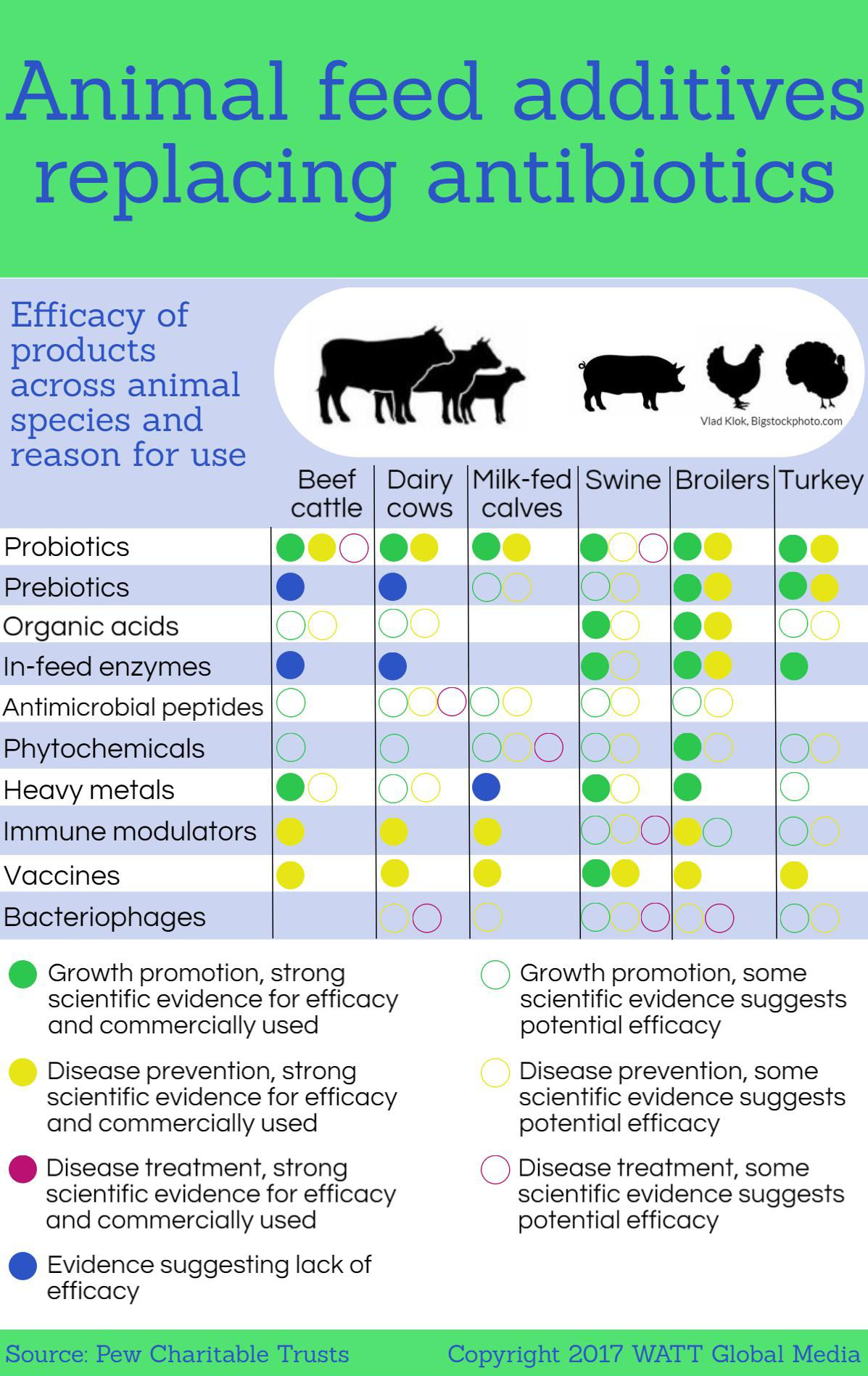 Infographic: Animal feed additives replacing antibiotics | Feed Strategy