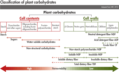 classification of plant carbohydrates