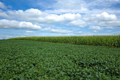 Corn and Soybeans