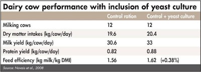 Dairy Cow Heat Stress 1605 Animal Health2