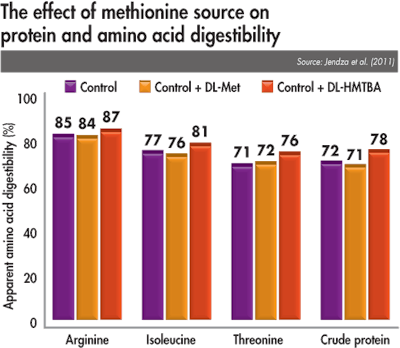 effect of methionine source on protein and amino acid digestibility