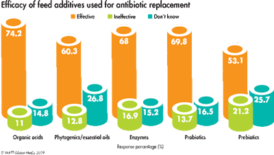 Efficacy Of Antibiotic Replacement Feed Additives 2019