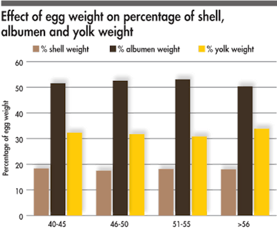 Egg Weight Percentages