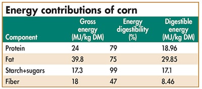 energy contributions of corn