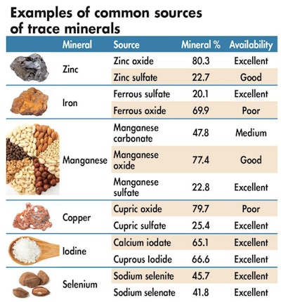 examples of common sources of trace minerals