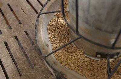 Feed Biosecurity Swine Fever