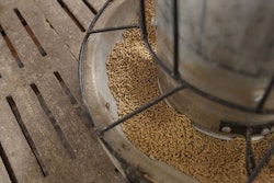 feed-biosecurity-swine-fever