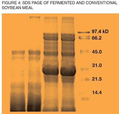 fermented and conventional soybean meal