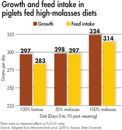 Growth Feed Intake Piglets Molasses Diets