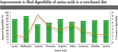 Illeal Digestibility Amino Acids Corn