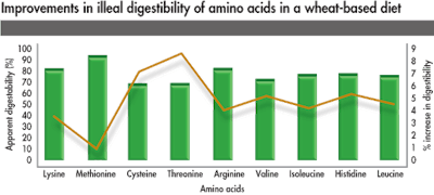 Illeal Digestibility Amino Acids Wheat