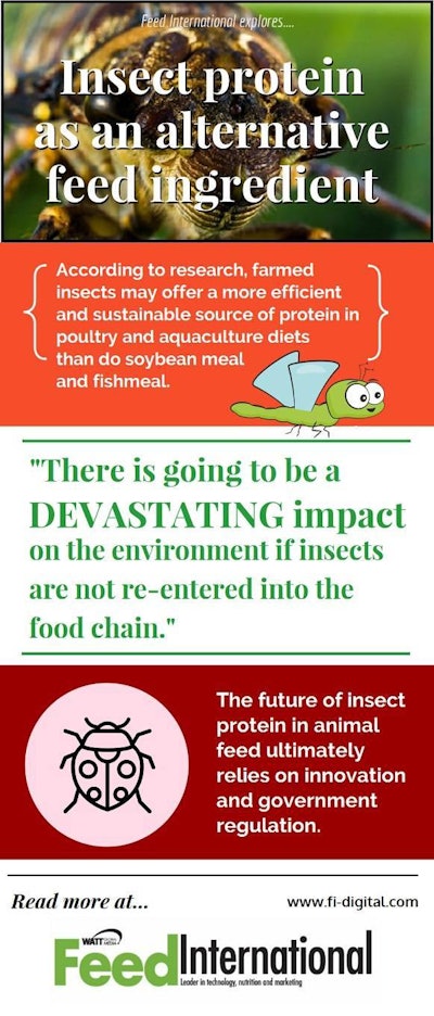 insect protein as feed