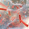 multiple-antibiotic-resistant-bacteria